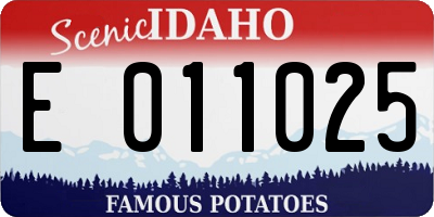 ID license plate E011025