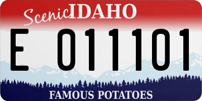 ID license plate E011101