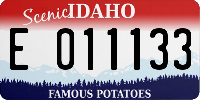 ID license plate E011133