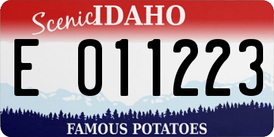 ID license plate E011223