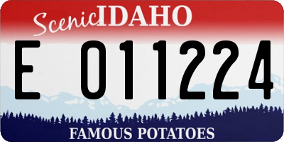 ID license plate E011224