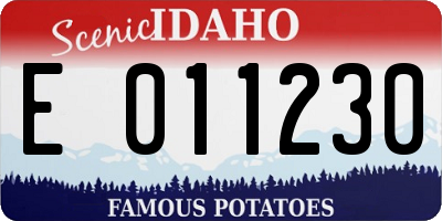 ID license plate E011230