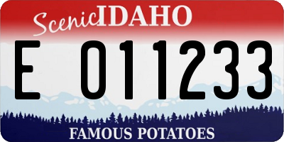 ID license plate E011233