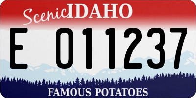 ID license plate E011237