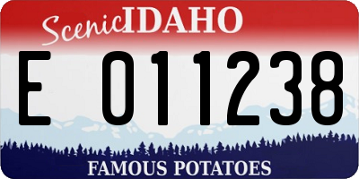 ID license plate E011238