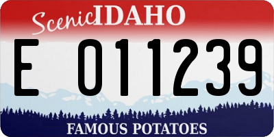 ID license plate E011239