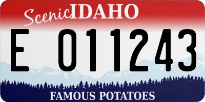 ID license plate E011243