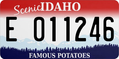 ID license plate E011246