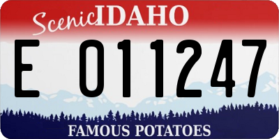ID license plate E011247