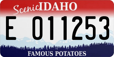 ID license plate E011253