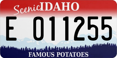 ID license plate E011255