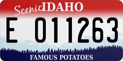 ID license plate E011263