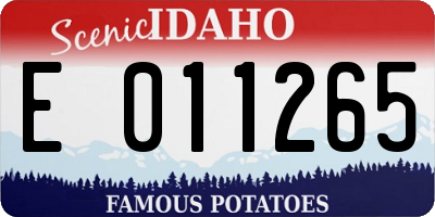 ID license plate E011265