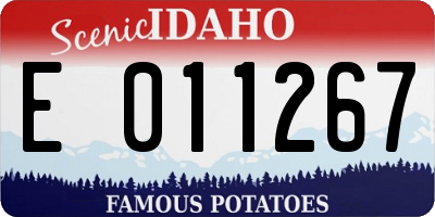 ID license plate E011267
