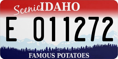 ID license plate E011272