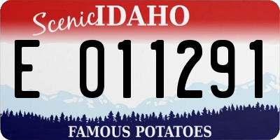 ID license plate E011291