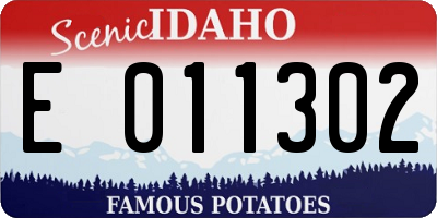 ID license plate E011302