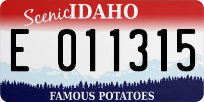 ID license plate E011315