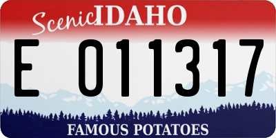 ID license plate E011317