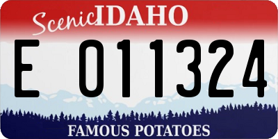 ID license plate E011324