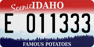ID license plate E011333