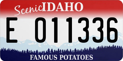ID license plate E011336