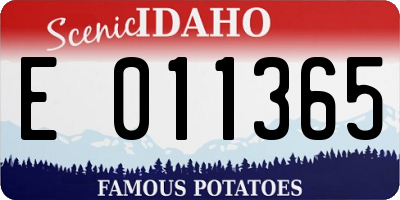ID license plate E011365