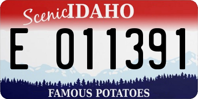 ID license plate E011391