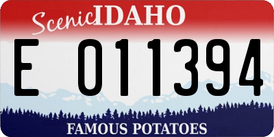 ID license plate E011394