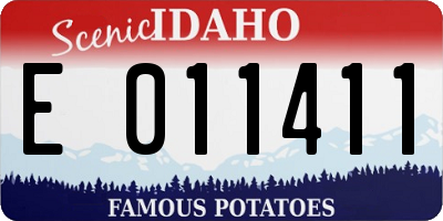 ID license plate E011411