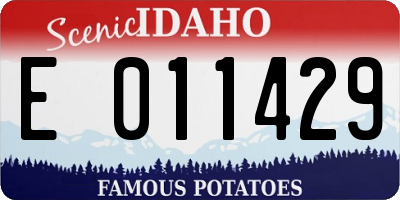 ID license plate E011429