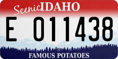 ID license plate E011438