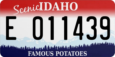ID license plate E011439