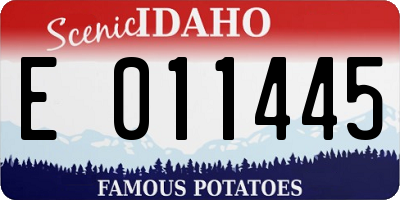 ID license plate E011445