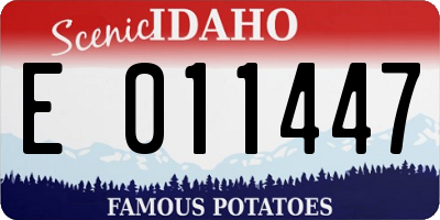 ID license plate E011447