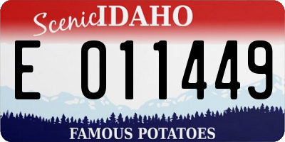 ID license plate E011449