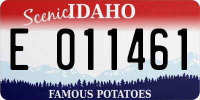 ID license plate E011461