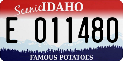 ID license plate E011480