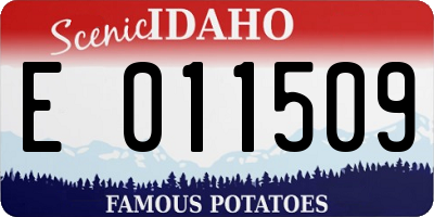 ID license plate E011509