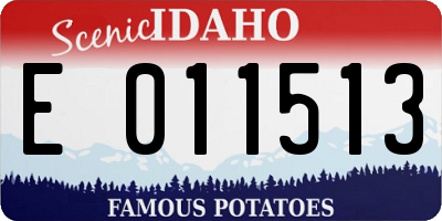 ID license plate E011513