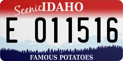 ID license plate E011516