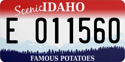 ID license plate E011560
