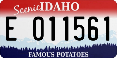 ID license plate E011561