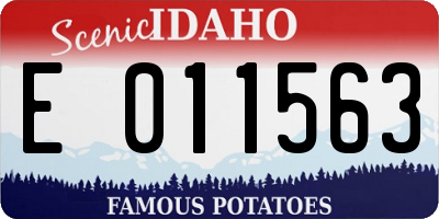 ID license plate E011563