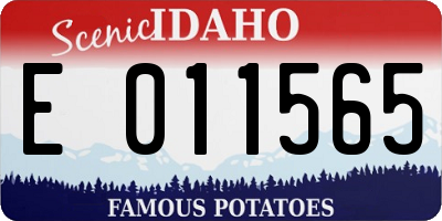 ID license plate E011565