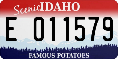 ID license plate E011579