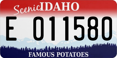 ID license plate E011580