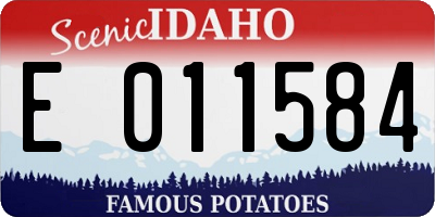 ID license plate E011584