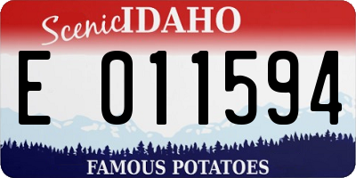 ID license plate E011594