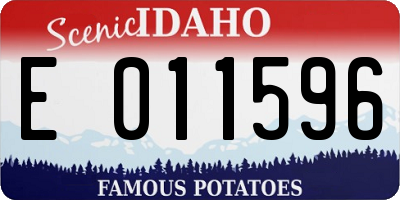 ID license plate E011596
